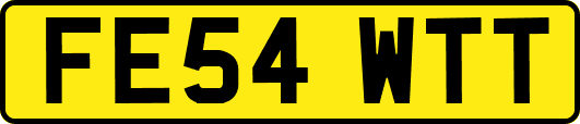 FE54WTT