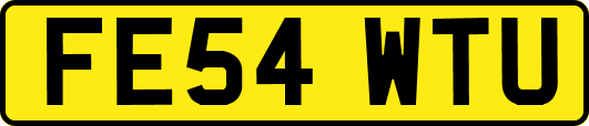 FE54WTU