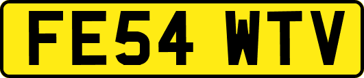 FE54WTV