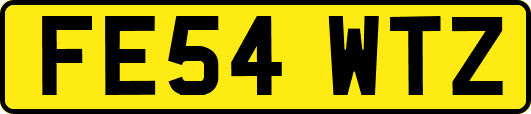 FE54WTZ