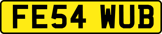 FE54WUB