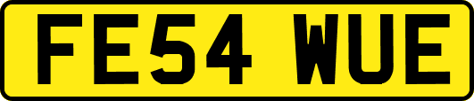 FE54WUE