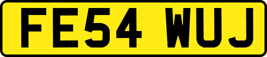 FE54WUJ