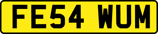 FE54WUM