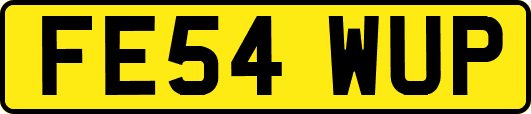 FE54WUP