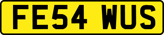FE54WUS