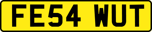 FE54WUT