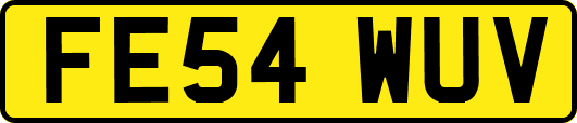 FE54WUV