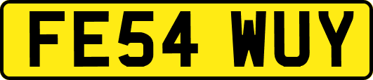 FE54WUY