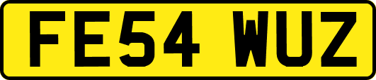 FE54WUZ