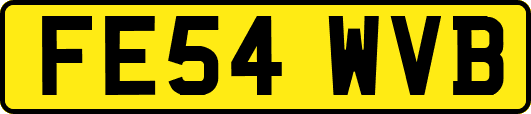 FE54WVB