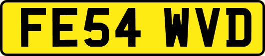 FE54WVD