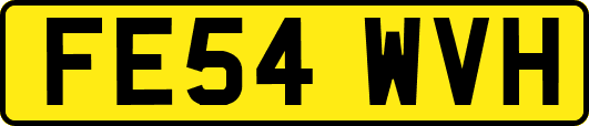FE54WVH