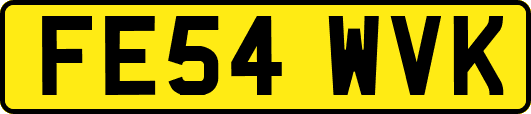 FE54WVK