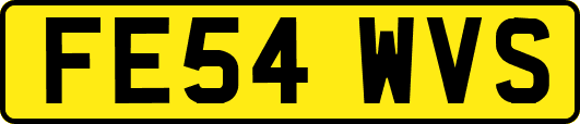 FE54WVS
