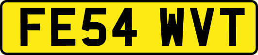 FE54WVT