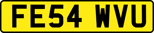 FE54WVU