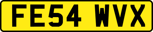 FE54WVX