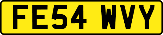 FE54WVY