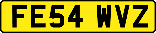 FE54WVZ