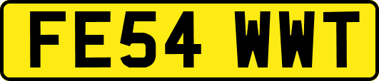 FE54WWT
