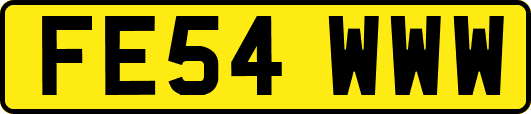 FE54WWW