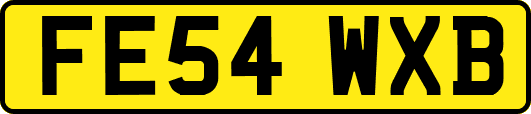 FE54WXB
