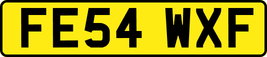 FE54WXF