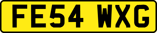 FE54WXG