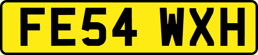 FE54WXH
