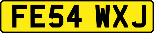 FE54WXJ