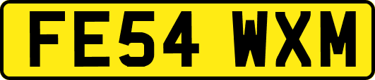 FE54WXM