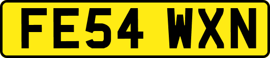 FE54WXN