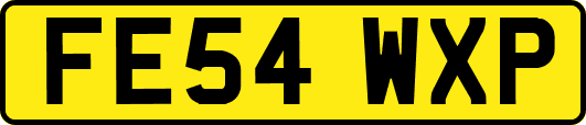 FE54WXP