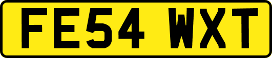FE54WXT