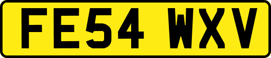 FE54WXV