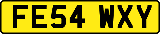 FE54WXY