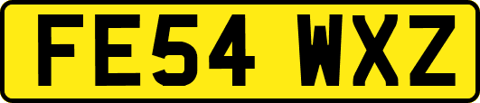 FE54WXZ