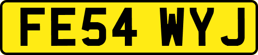 FE54WYJ