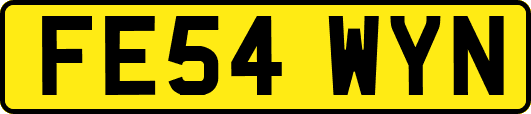 FE54WYN