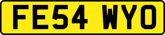 FE54WYO