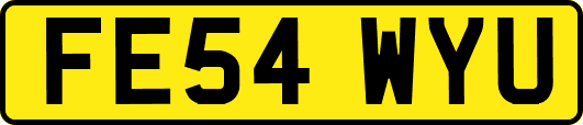 FE54WYU