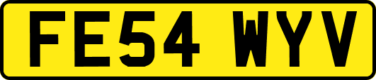 FE54WYV