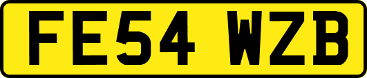 FE54WZB