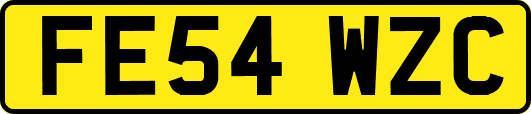 FE54WZC