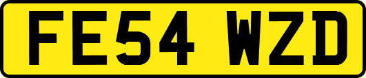 FE54WZD