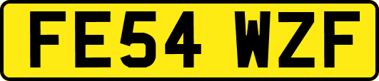 FE54WZF