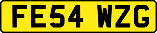 FE54WZG