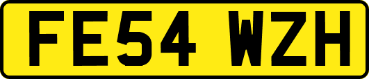 FE54WZH