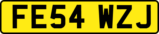 FE54WZJ